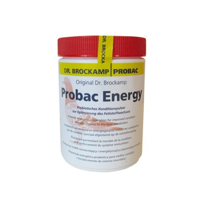 Dr. Brockamp | Probac Energy