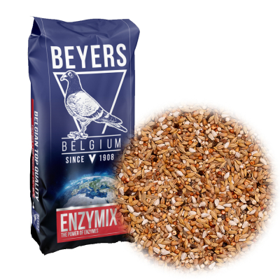 Enzymix diet enerji
